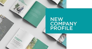 new company profile_website